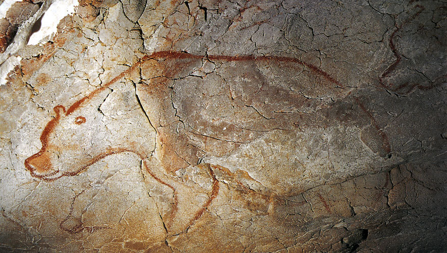 Ours des Caverne- grotte Chauvet. © cliché Carole Fritz -Ministère Culture