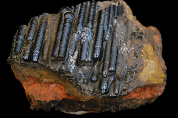 Hématite columnaire, oxyde de fer