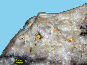 Or dans sa gangue de quartz