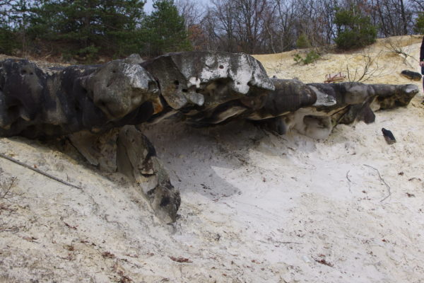 Sable de Fontainebleau et lentilles de grès