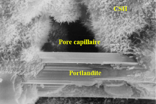 Les hydrates (CSH) et la portlandite (Ca[OH]2) en formation dans la pâte de ciment