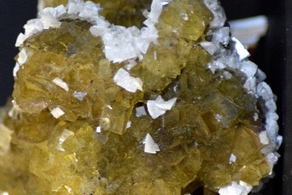 Cristaux de fluorite jaune entourés de baryte blanche