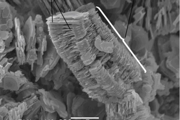 Photo en électrons rétrodiffusés de cristaux de kaolinite observés au microscope électronique à balayage (MEB) : structure typique en feuillet