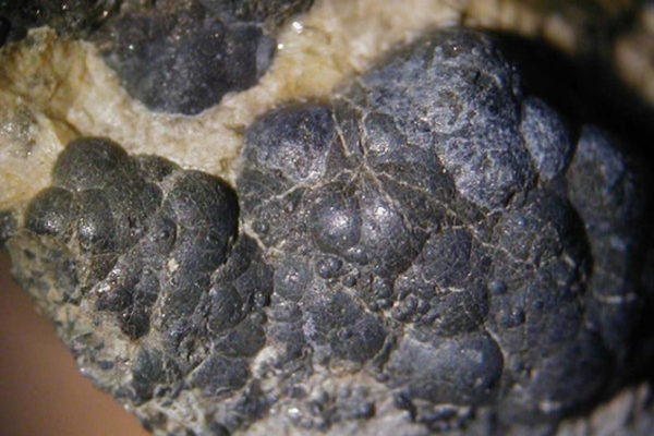 Pechblende (UO2 - faciès botryoïdal)