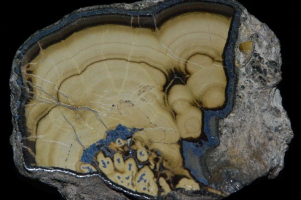 Sphalérite mamelonée entourée de galène et de pyrite